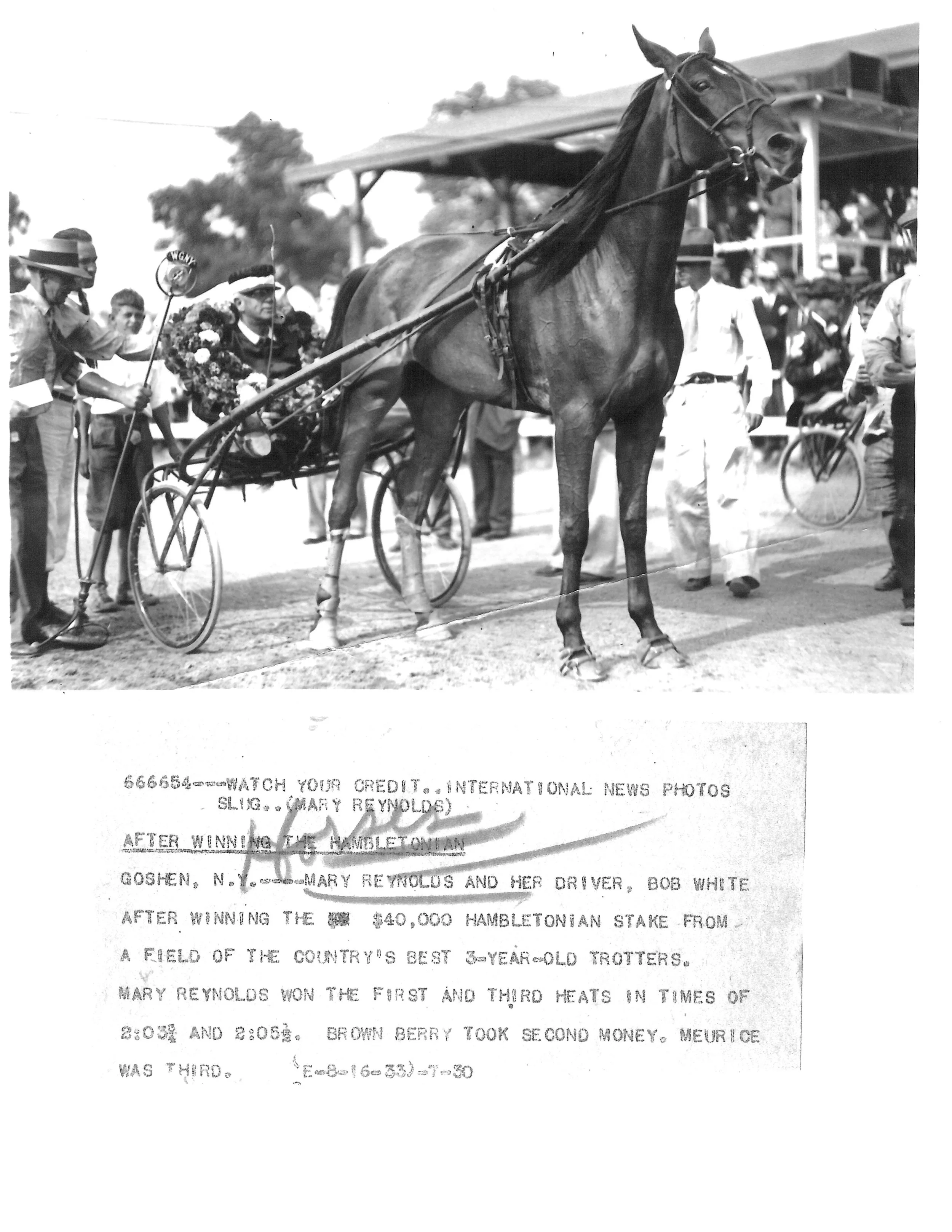 Mary Reynolds - 1933 — Hambletonian Society Inc